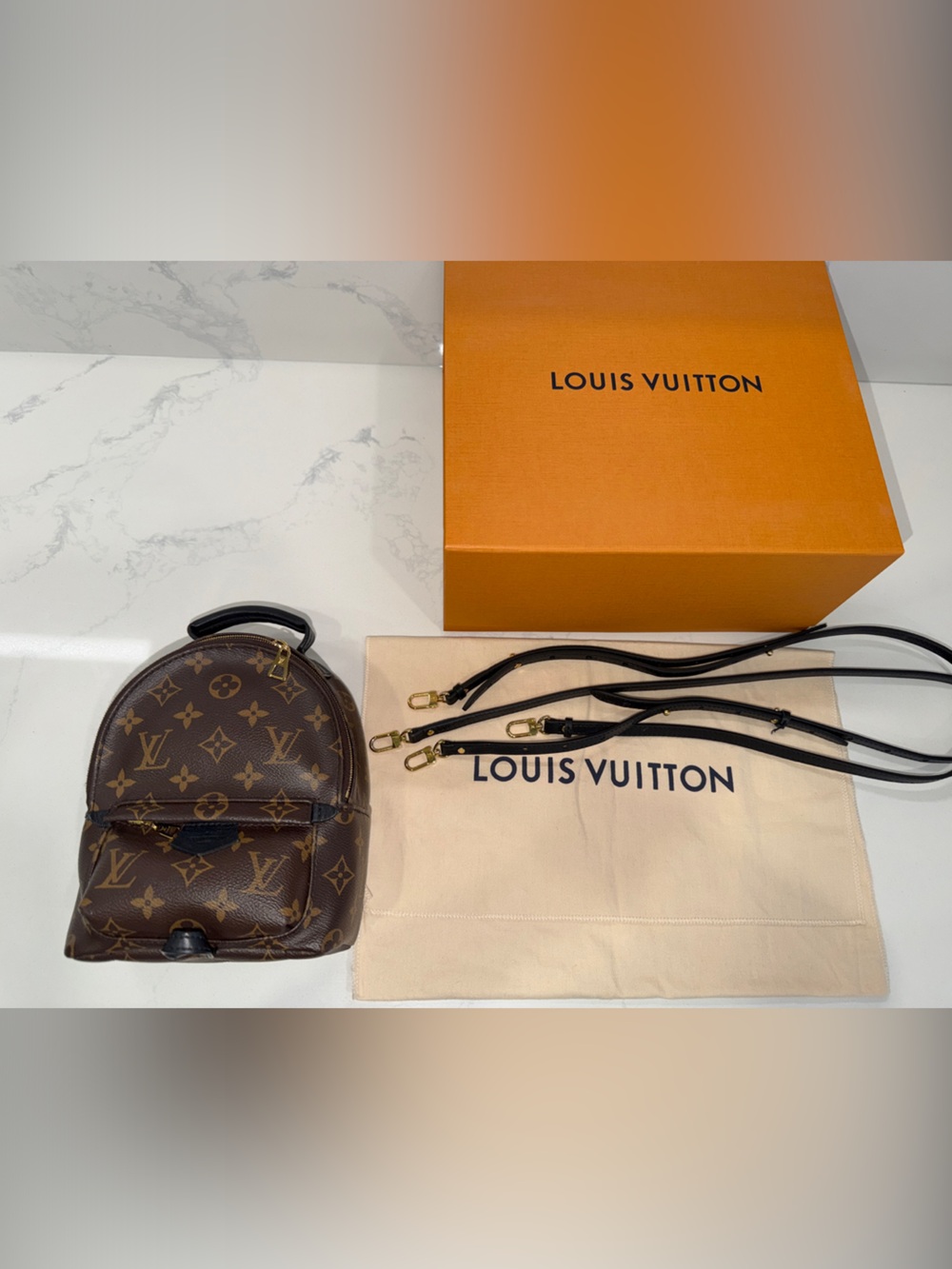 Authentic Louis Vuitton Palm Springs Monogram Canvas Mini bag, backpack in LV